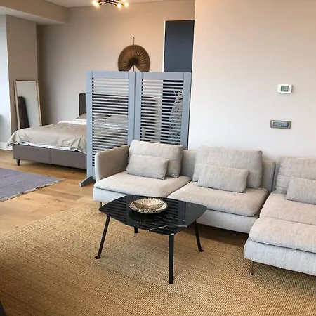 Apartment Metropol